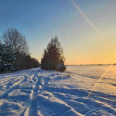 Уночі мороз поволі інеєм упав на шлях... Спотикається на полі місяць січень по грудках