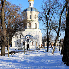 Зима В Чернігові. Чернігівський Колегіум.