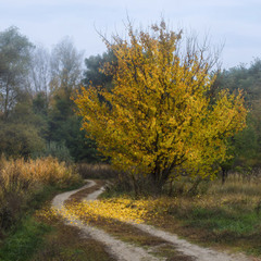 Осенними дорогами