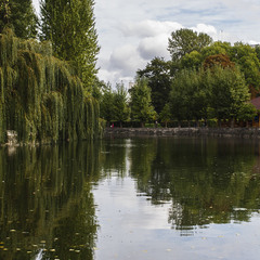 Озеро у Тернополі