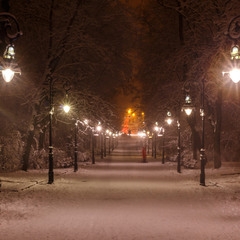 Зима в парку Івана Франка