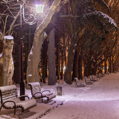 Згадуючи зиму (Стрийський парк)