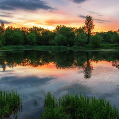 Озеро на перехресті Стрийська-Наукова