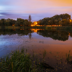Озеро на озері Стрийська-Наукова