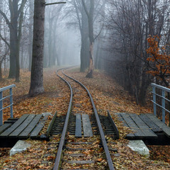 Дитяча залізниця у тумані