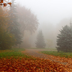 Осінній туман