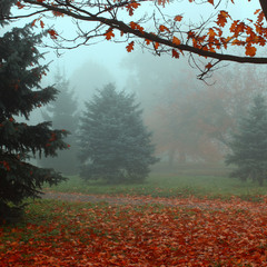 Згадуючи осінь (парк Бондарівка)