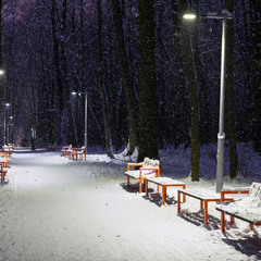 Зимовий парк Івана Павла II