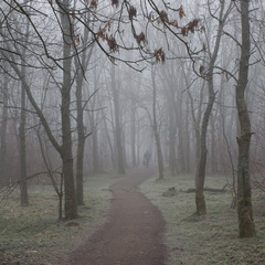 Парк у тумані