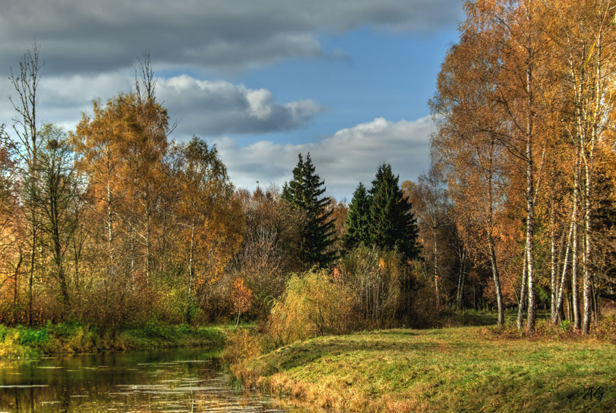 Осень ru. Брянская область осенью. Природа Брянской области осенью. Осенний пейзаж Брянск. Сентябрьский лес.