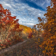 осінь