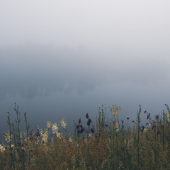 Туманний ранок на Дніпрі