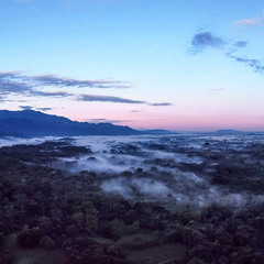 Palenque, Mexico, утро над джунглями