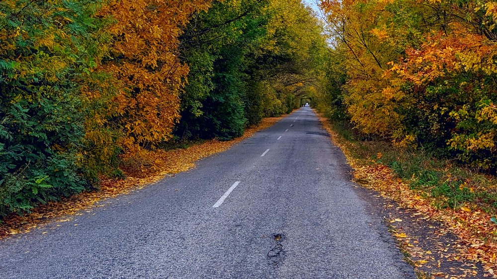 Осень м