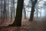 Акварелі ранку