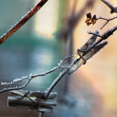 Колись настане той день…