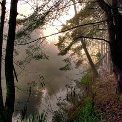 Ранок.Прозорий сон.