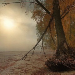 Око пустища.