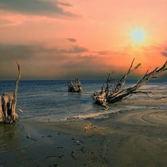 Десь  там , де кінчається земля.