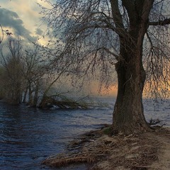 Весняний ранок.