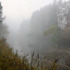 Стелиться туман, ховає береги.