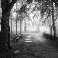 Осінній парк у полоні туману.
