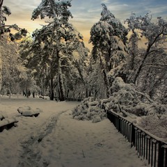 Вечоріло ,стоять дерева в повній тишині.