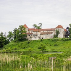 Свіржзький замок