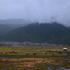 Предгорье Тибета