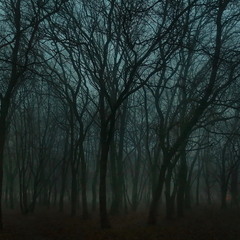 Сутінки... туман... зима.