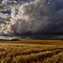 ВСЕ БУДЕ УКРАЇНА.