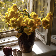 Теплий листопад.