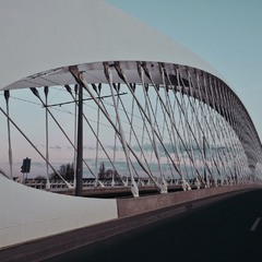 Тройский мост - 2