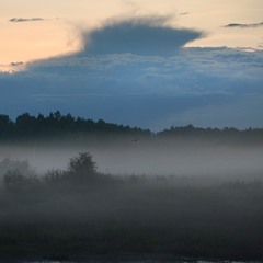 Evening fog