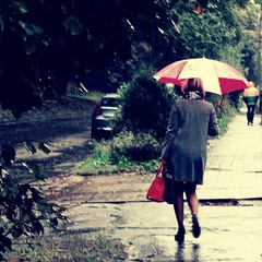 ...это дождь с парасолькой!...