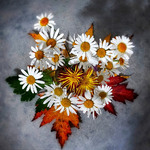 Заглядають в обличчя..