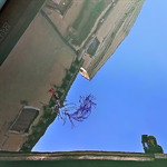 Між небом водою в венеціанському задзеркаллі