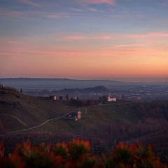 Вечірня казка виноградних схилів