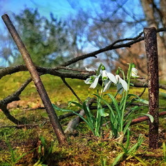 Весна невідворотна