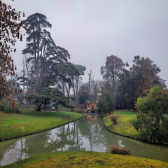 Смарагдовий сон туманного ранку