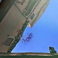 Між небом водою в венеціанському задзеркаллі