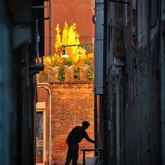 Венеціанська позолота пізньої осіні..