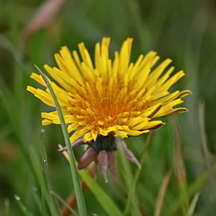 Ще не зима..