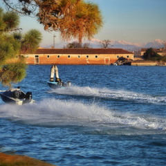 Венеційські перегони