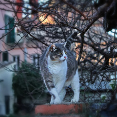 На постаменті