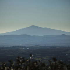 Мовчазна далечінь