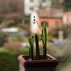 Очікування..