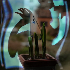 Примара весни