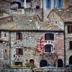 Відлуння осені взимку