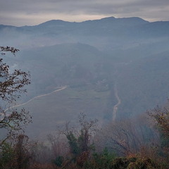 Німфа у імлі..